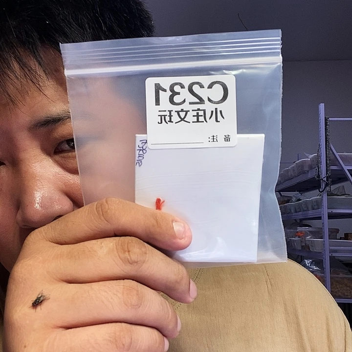 【闪购商品】醉*黑檀木231