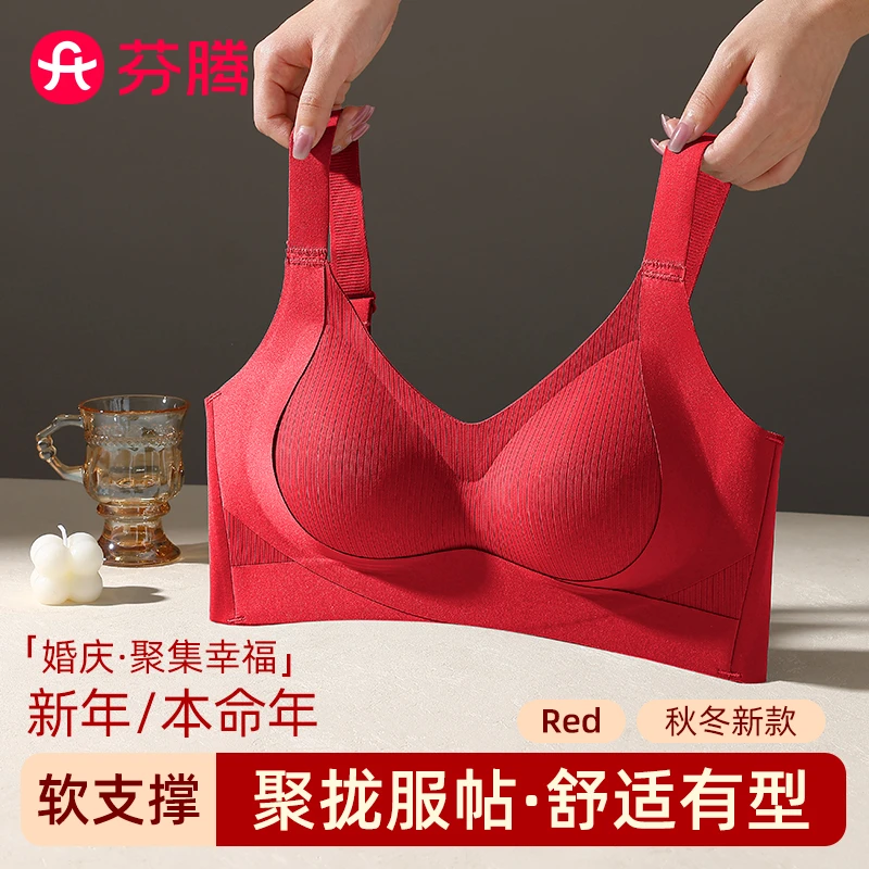 芬腾秋冬季新款内衣女聚拢小胸无痕美背提拉上托收副乳防下垂文胸