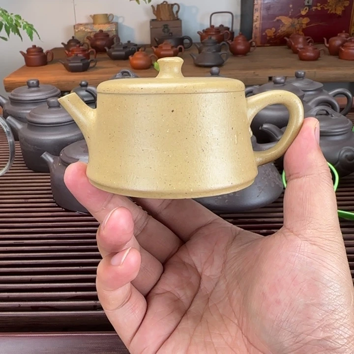 浪***涯茶壶紫砂本绿140cc半手工