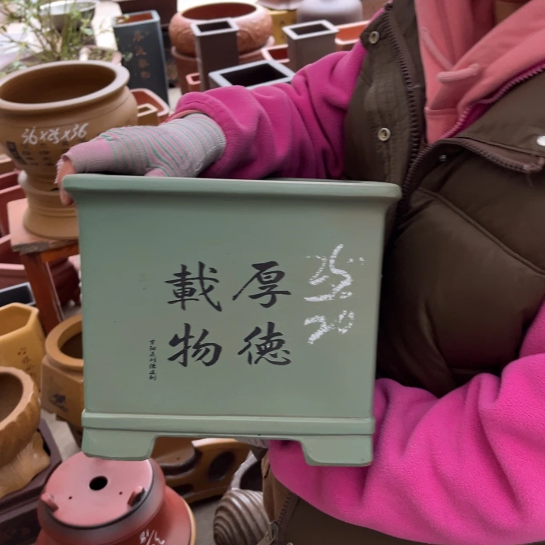 紫砂花盆盆景艺术