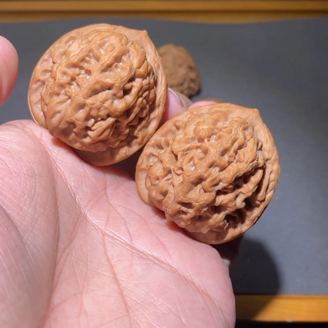 木质40观音肚全品