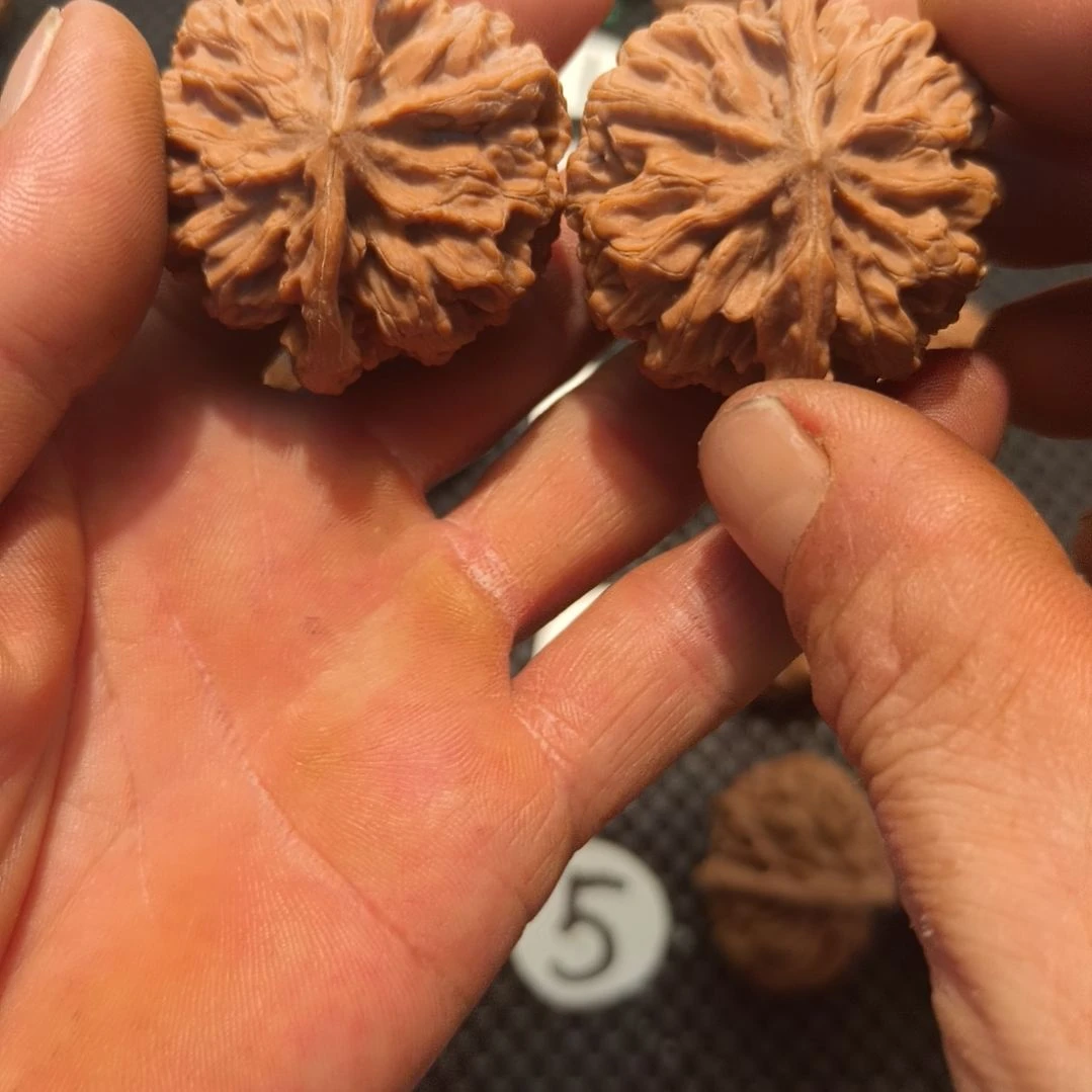 沉***。文玩核桃吊坠帝王大花文玩核桃