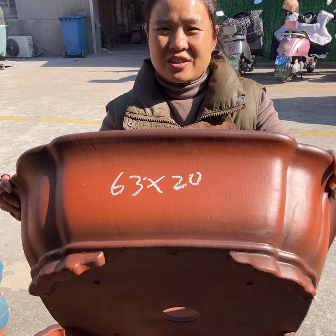 花盆紫砂盆景艺术