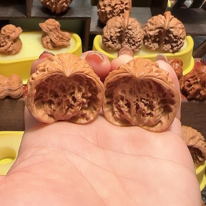 马*辉小蛇……核桃……核桃