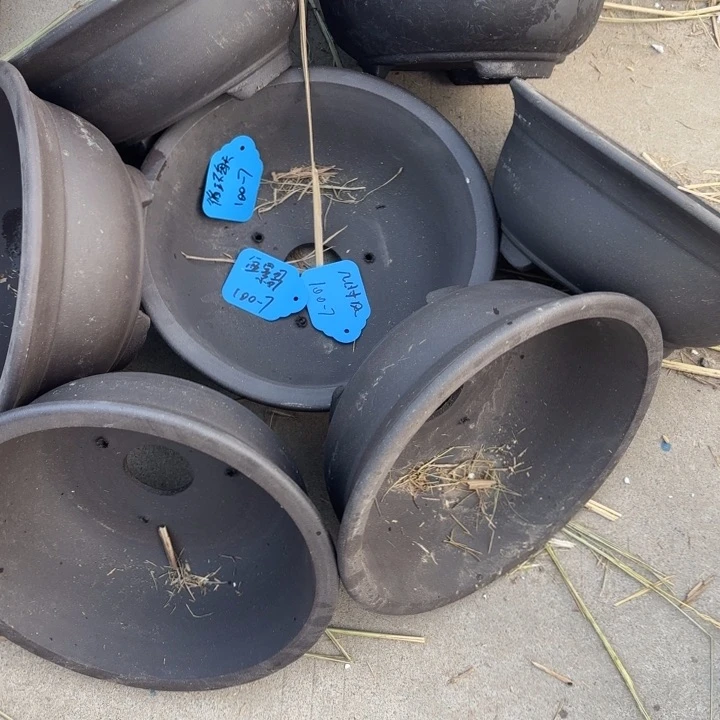 紫砂花盆100-7。