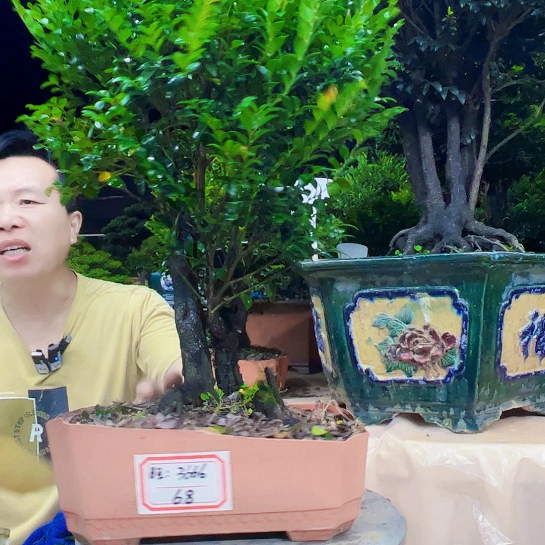 无花朵旺12345678