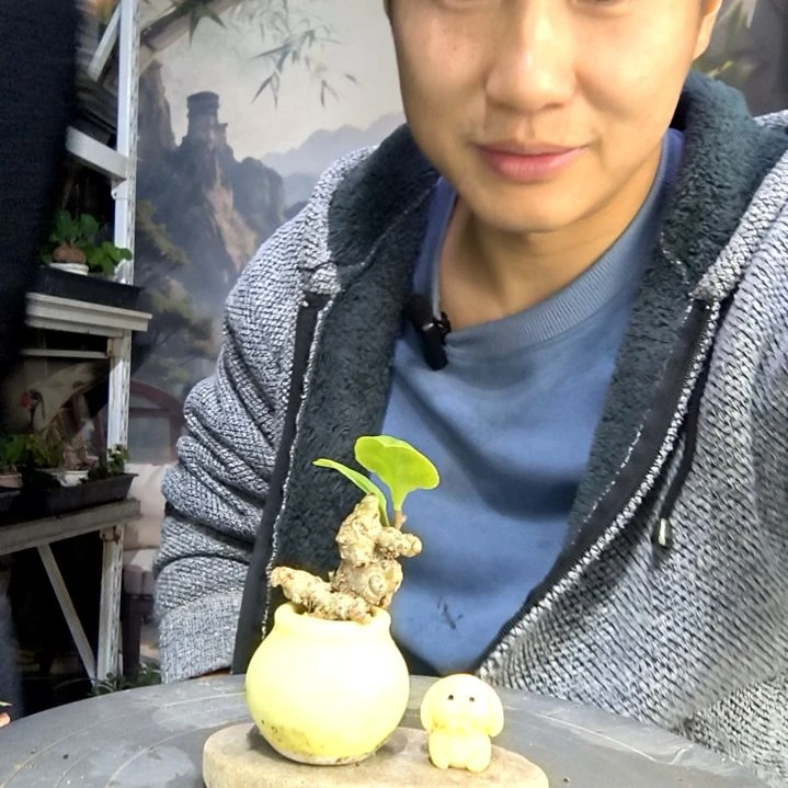 ?****?中青园艺一物一拍48