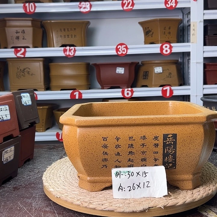 花盆紫砂蛇年大吉