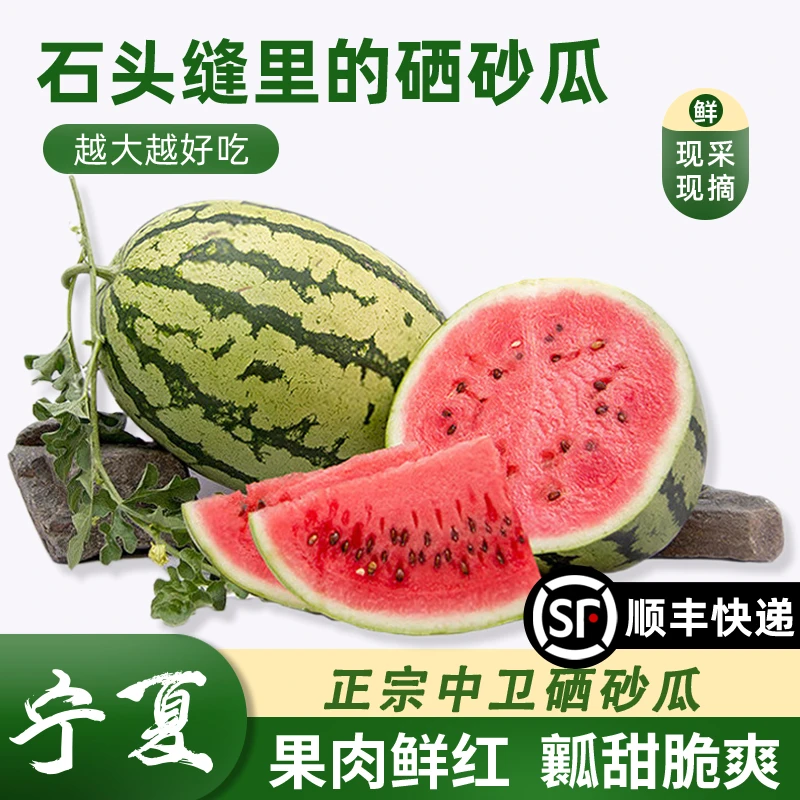 正宗宁夏中卫硒砂瓜新鲜水果压砂瓜当季石头缝大西瓜沙瓤多汁整箱