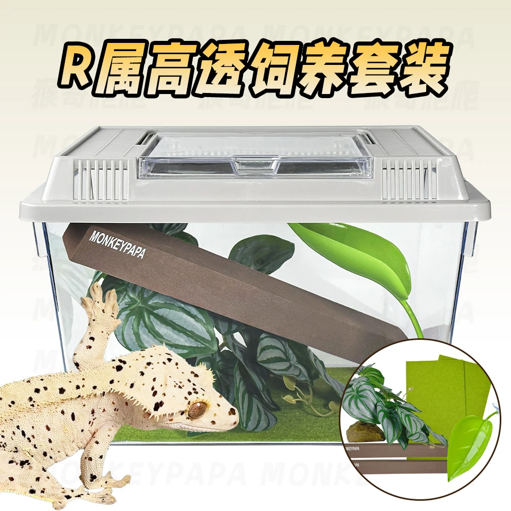 睫角R属守宫饲养套装爬宠高透通风透气手拎饲养盒套餐组合
