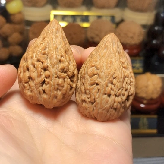 特价秒杀：鸭嘴兽