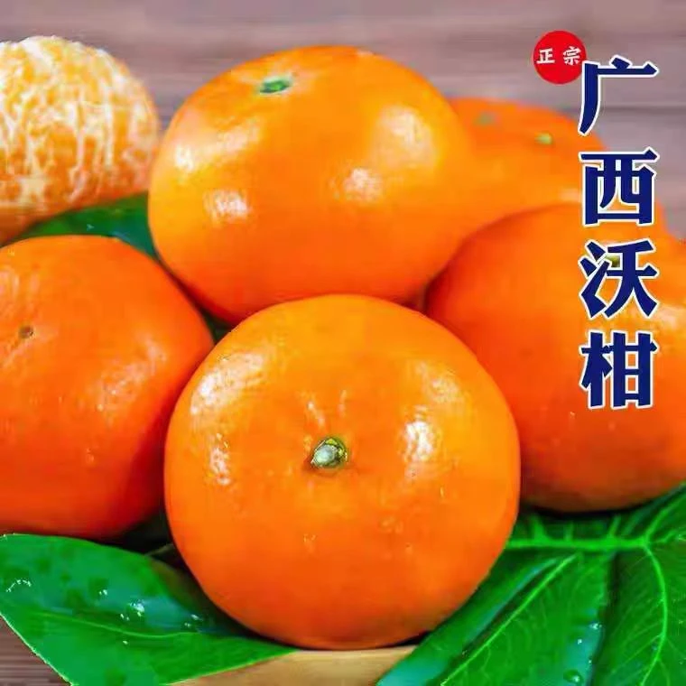 FG 广西武鸣沃柑新鲜橘子鲜嫩柑橘香甜多汁广西沃柑正宗