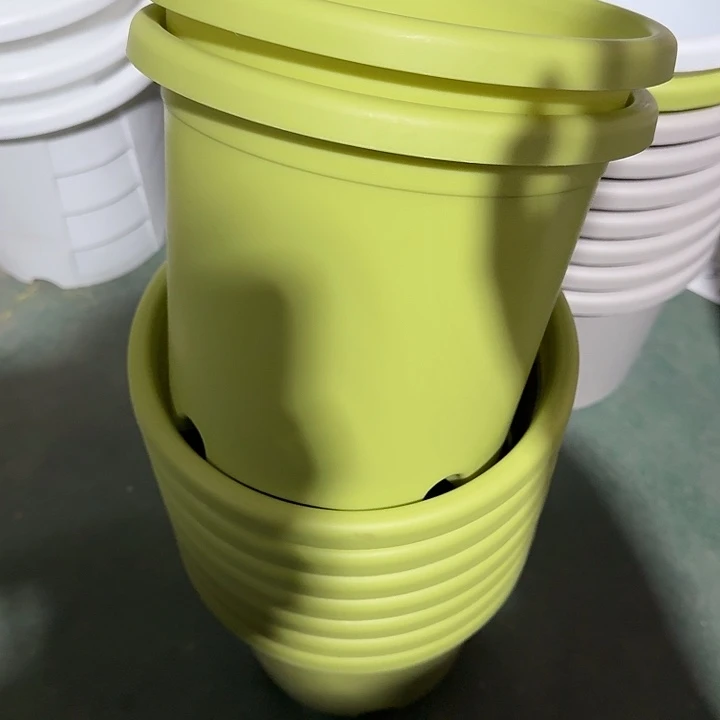 微瑕3#果绿10个无托