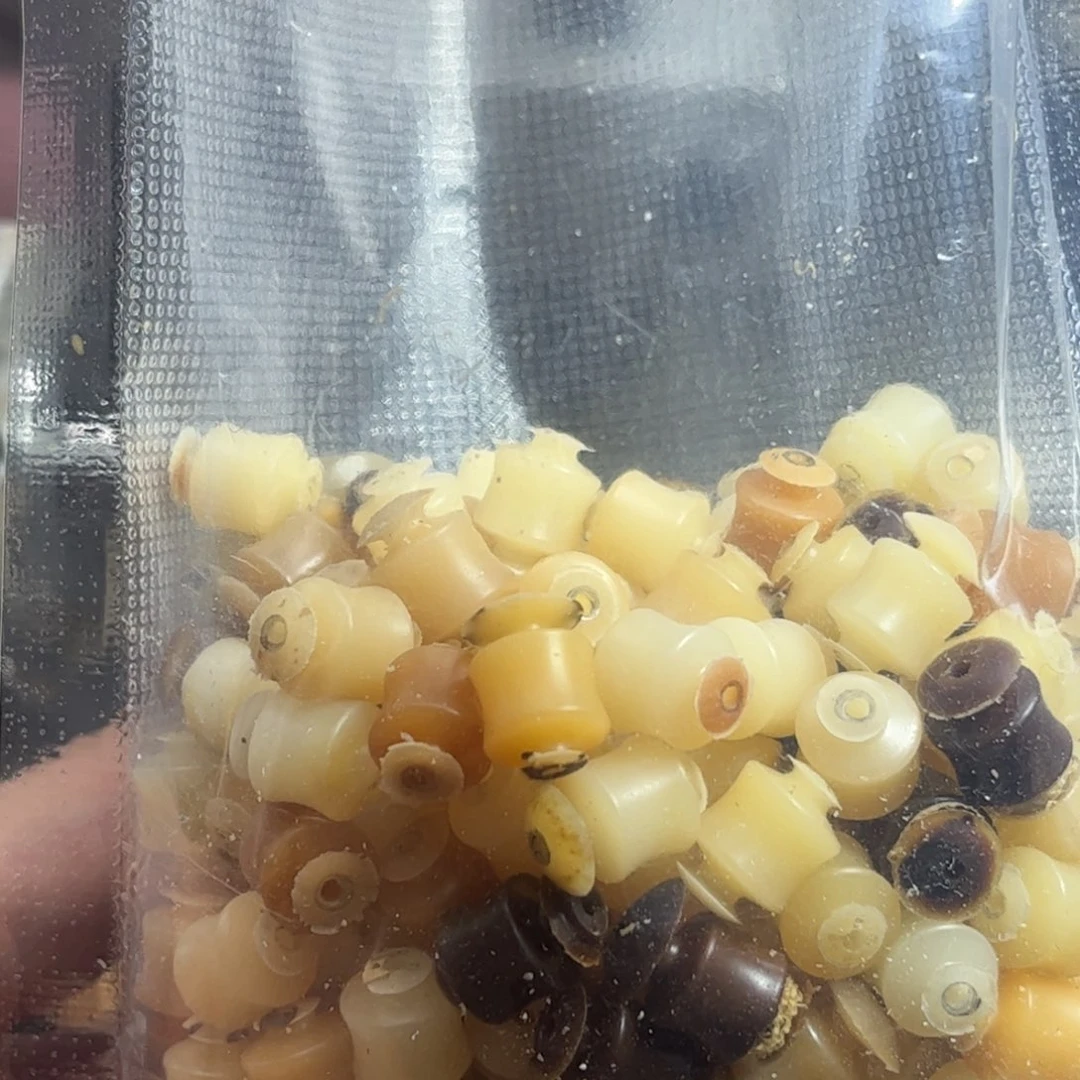 风****手串菩提根/象牙果