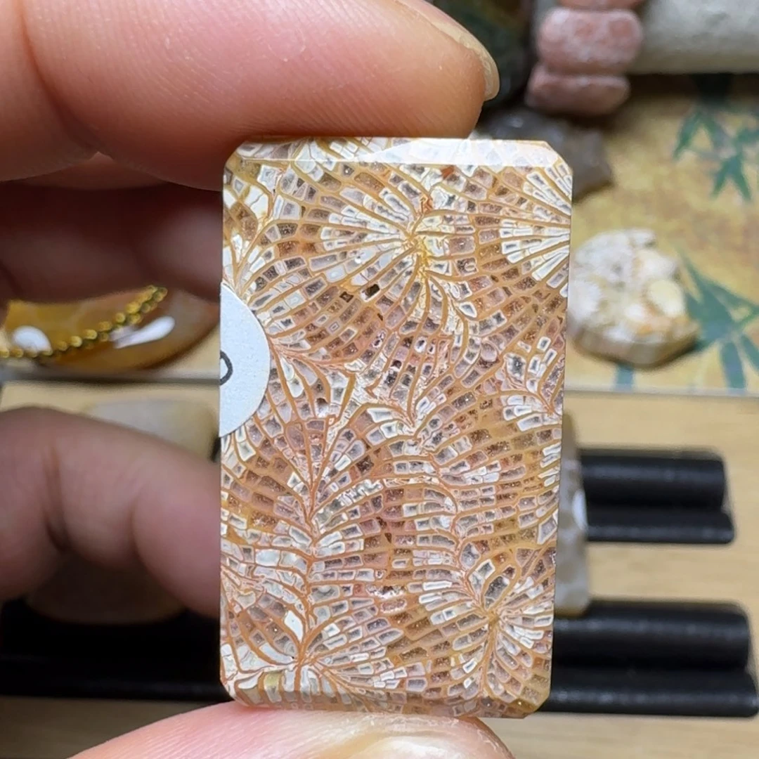 硅化玉纯天然色有机玉石保真色未镶嵌