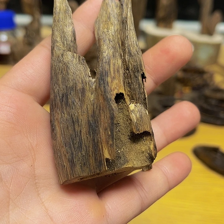 沉香碎屑沉香黑奇虫漏