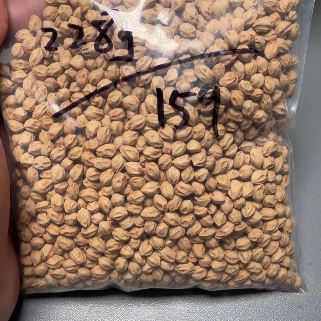 吊坠柏香籽/百香籽J****D