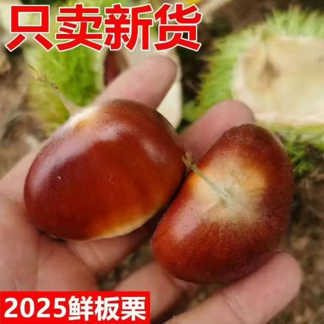 湘西高尚农家板栗