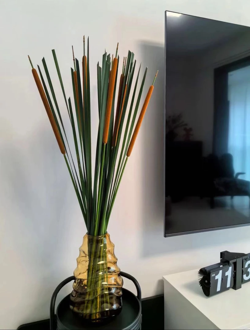 一花(香蒲花材)可做干花 昆明基地直发 顺丰包邮