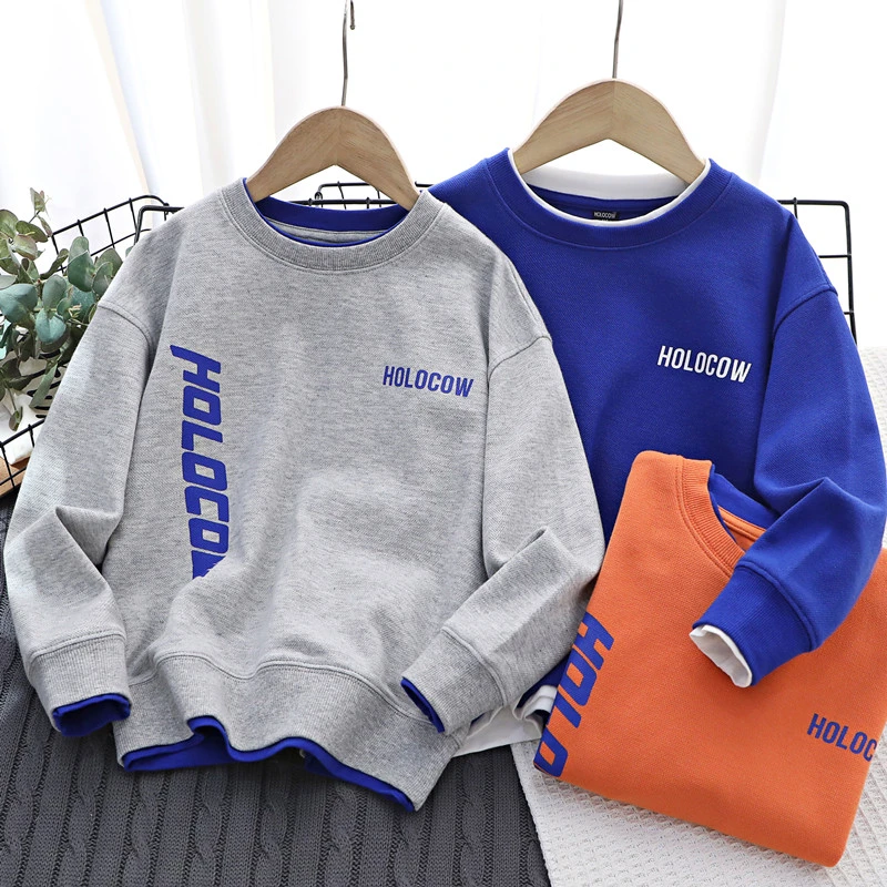 男童休闲春秋圆领洋气韩版中大童珠地网眼棉质针织长袖套头卫衣