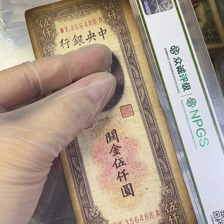 纸关进五千元。糊了