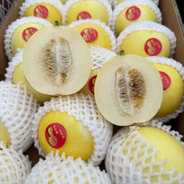 景甜甜瓜 净重2.5斤