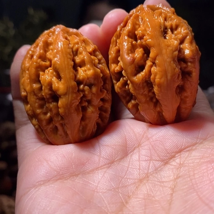 文玩核桃把件东北楸子小路 218