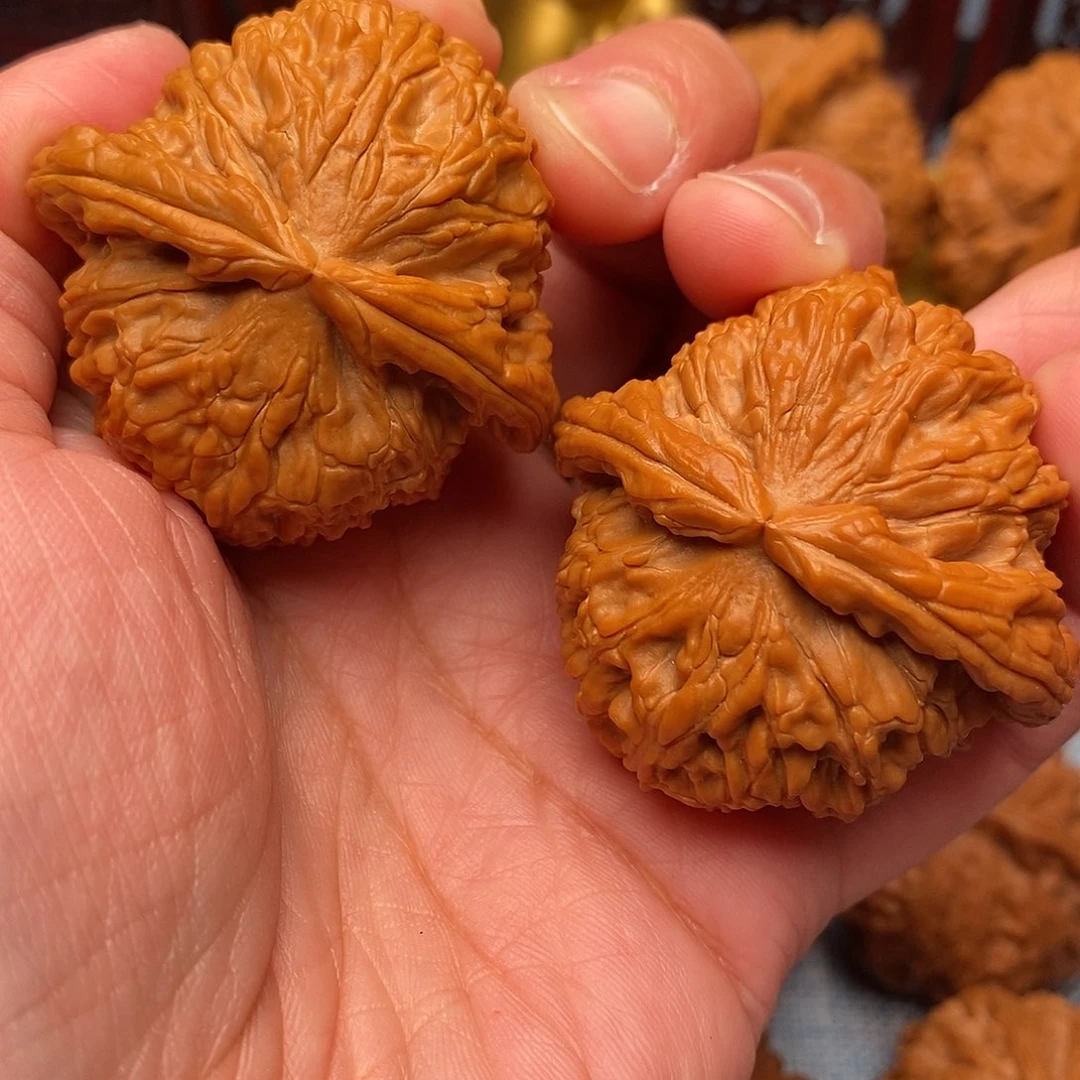 文玩核桃把件毕业全品白狮子43尺