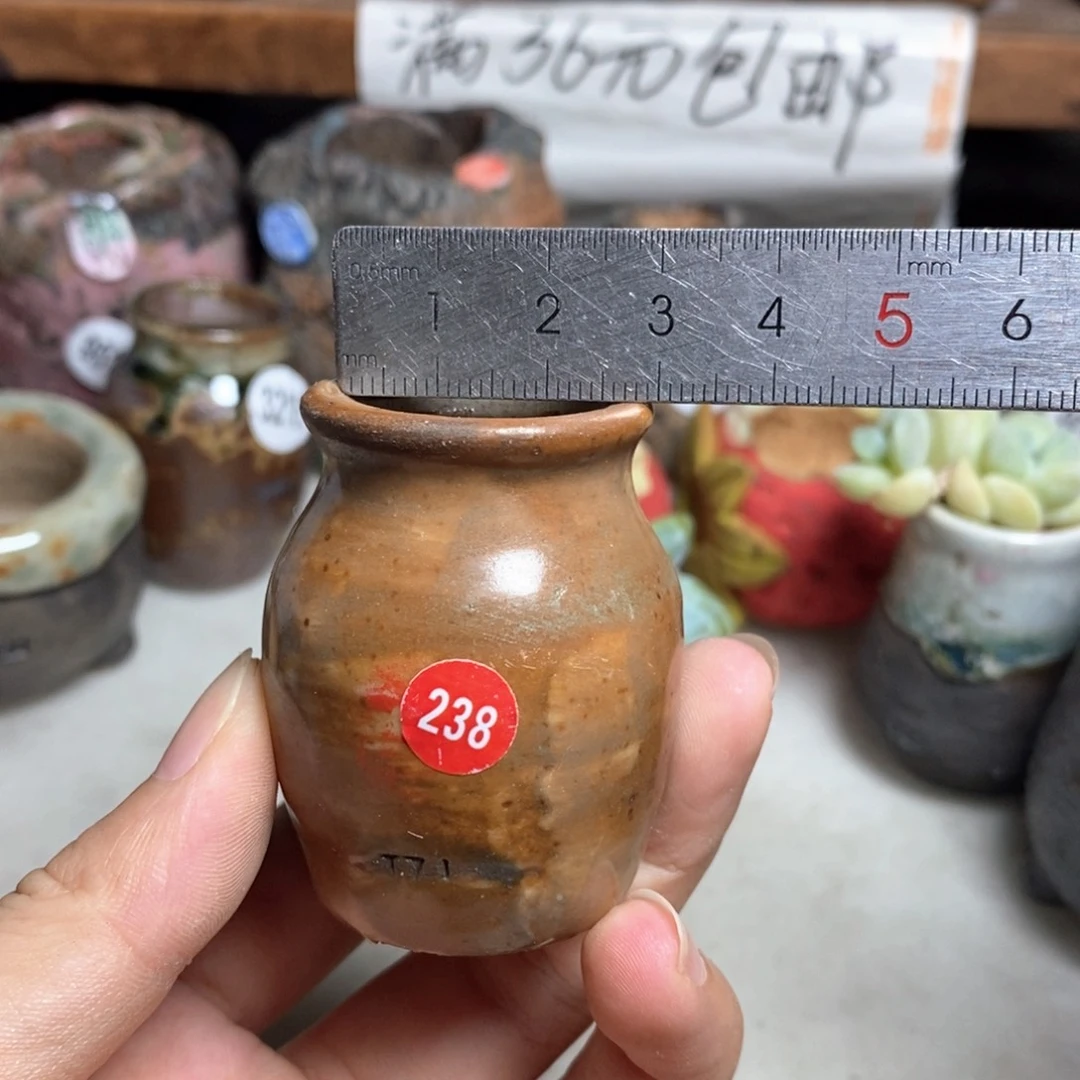 拍5送一个小礼物