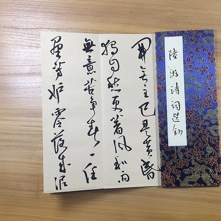 书法中书协会员作品