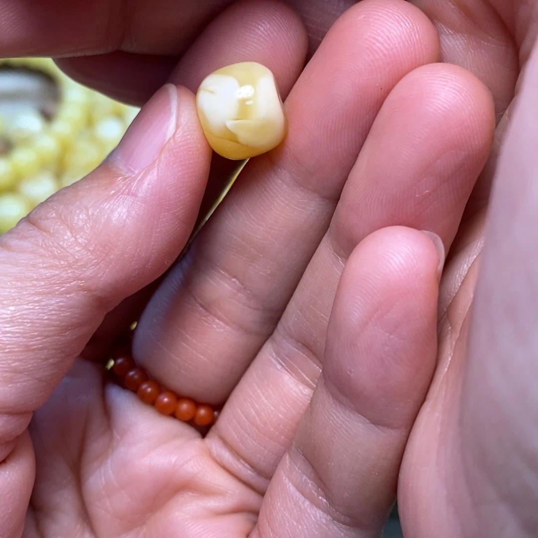 光***孙裸石琥珀未镶嵌原矿蜜蜡配珠