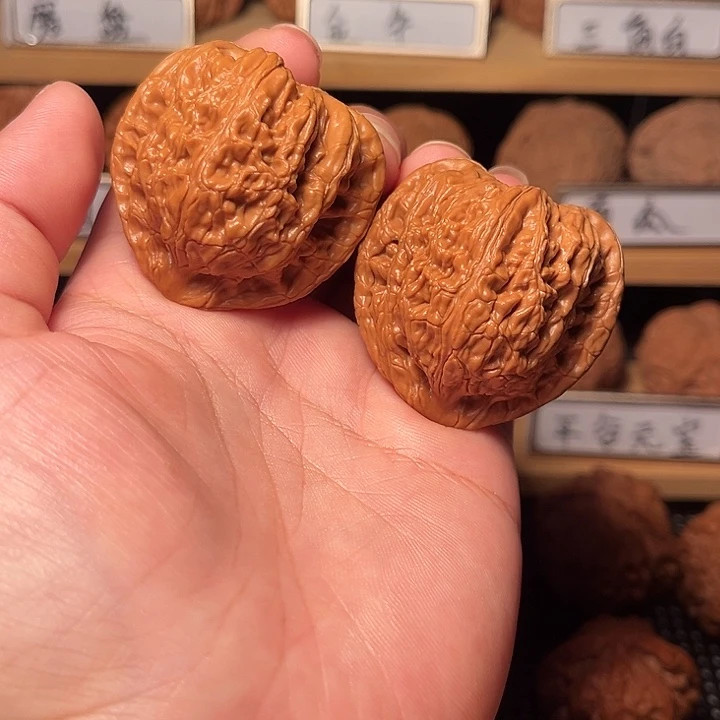 核桃42僧帽。