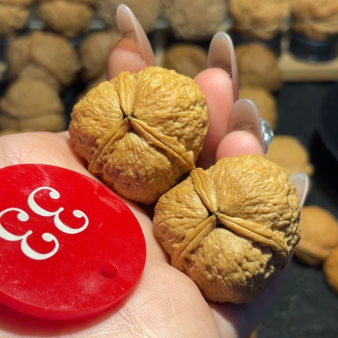 南瓜三棱萌萌包32（新品体验价）