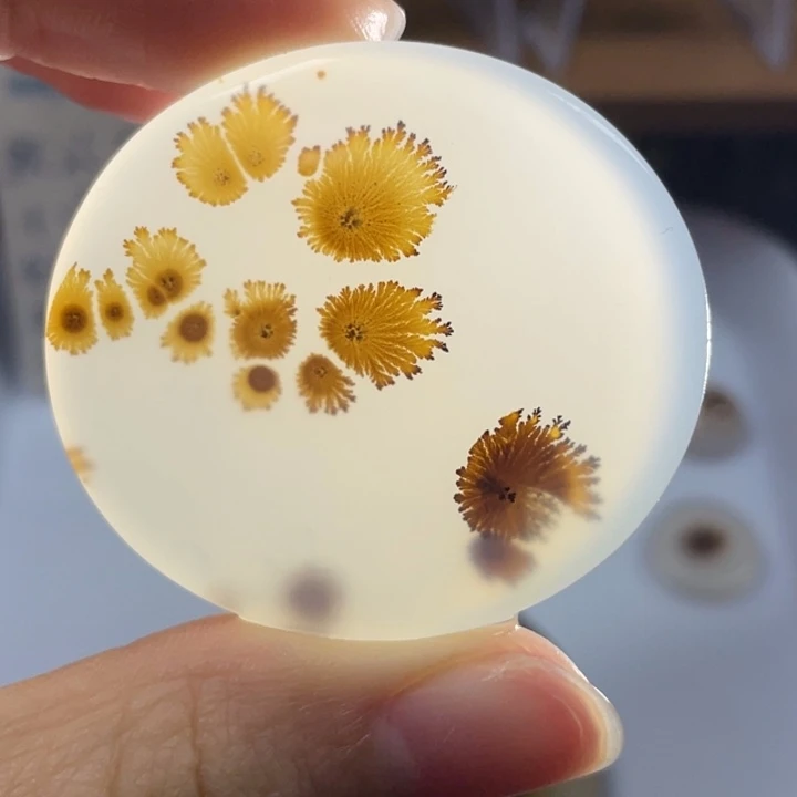 玛瑙/玉髓未镶嵌牌子