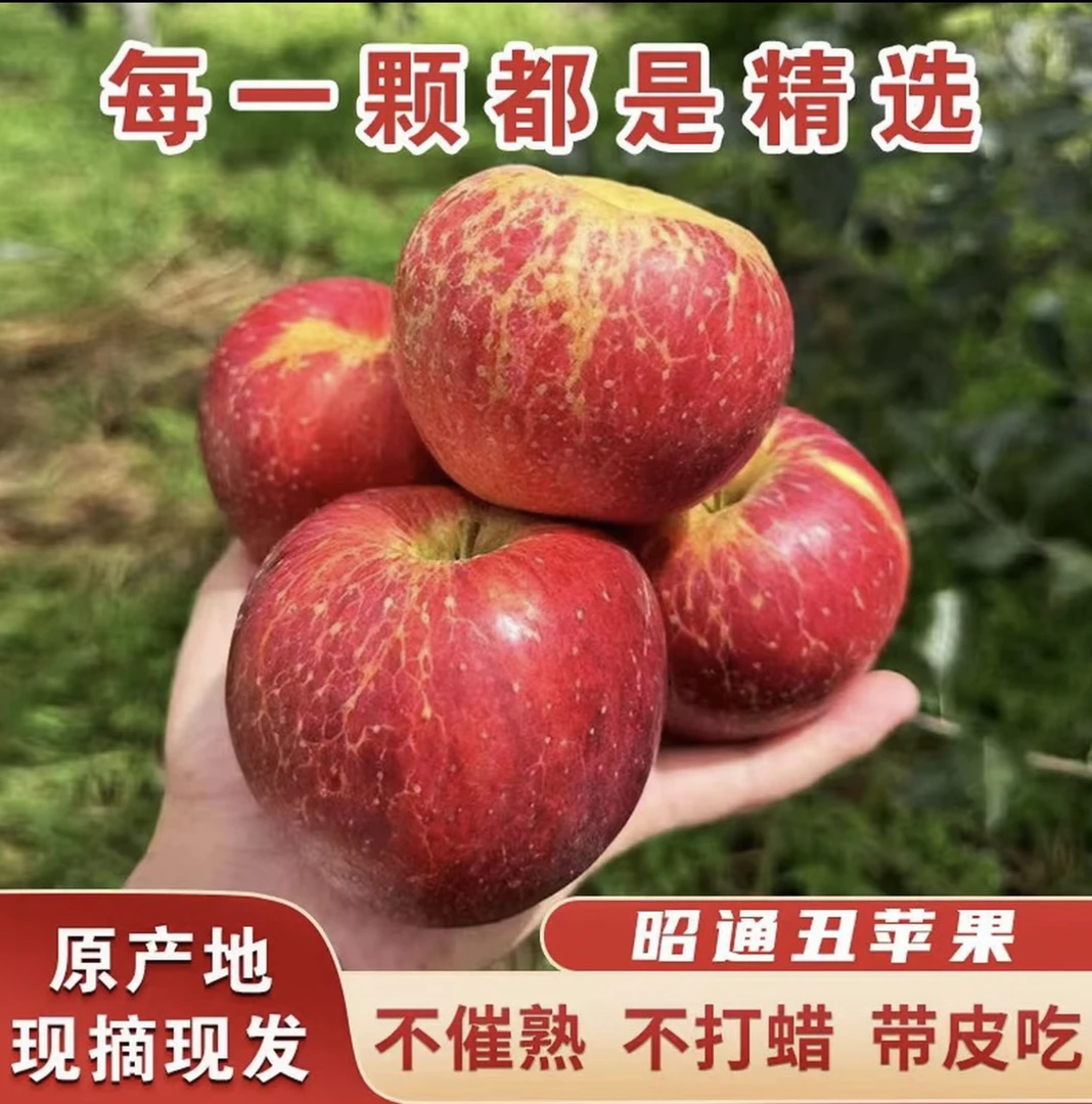 【正宗昭通丑苹果】2025年新鲜云南昭通丑苹果现摘现发脆甜多汁