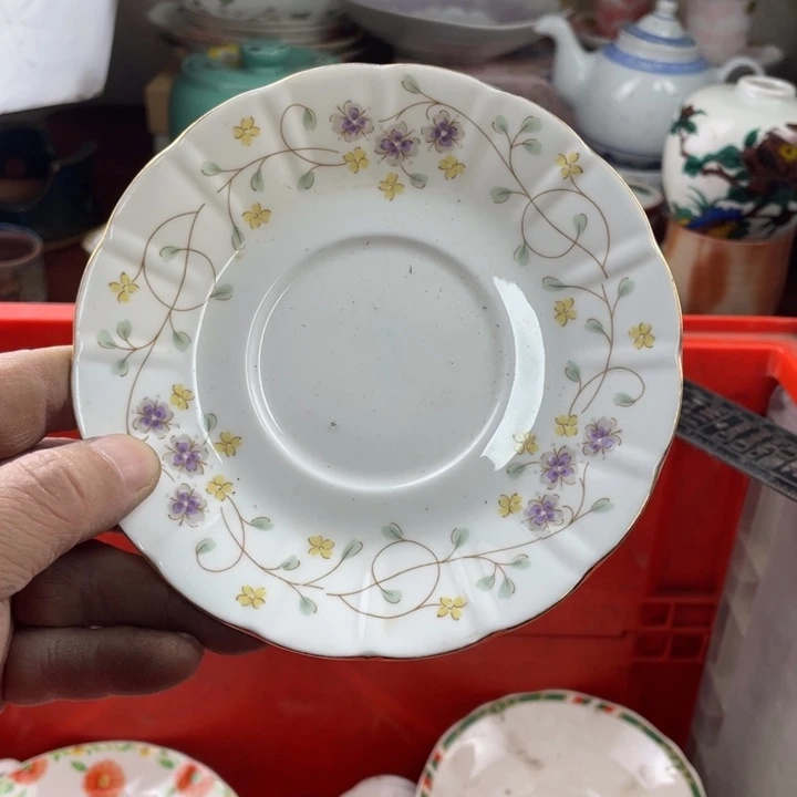 碟开播了开播了开播了