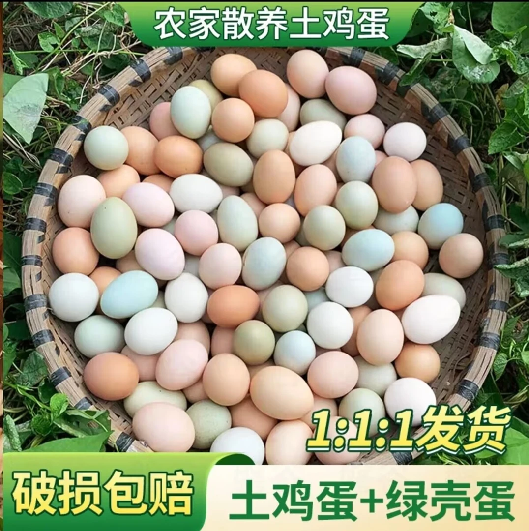 大个蛋【25枚土鸡蛋+25枚乌鸡蛋】农家散养散放土鸡蛋现捡现发