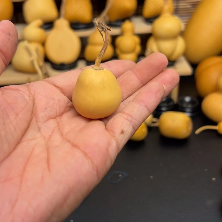 小*睛12556555566666666666