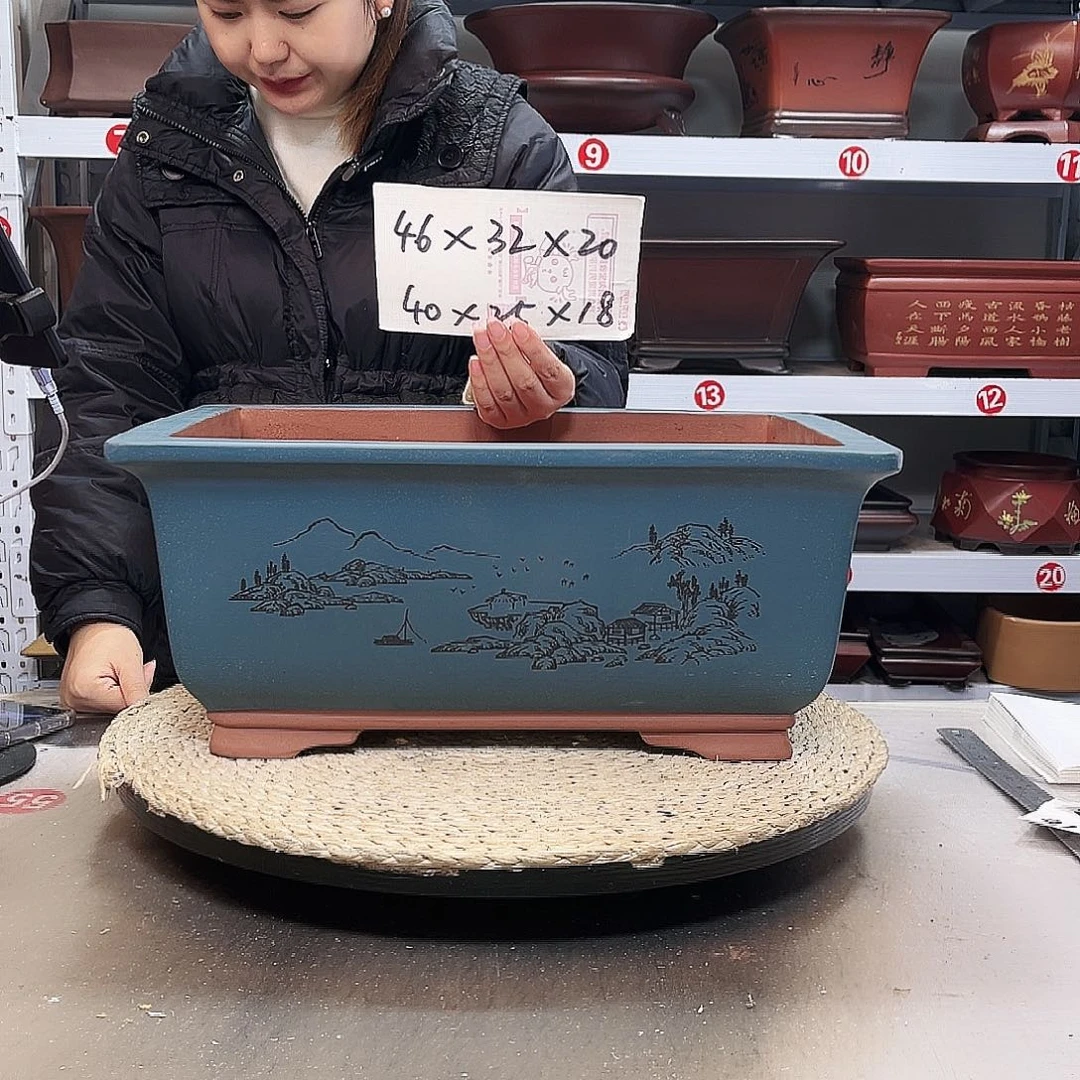 花盆紫砂紫砂花盆里