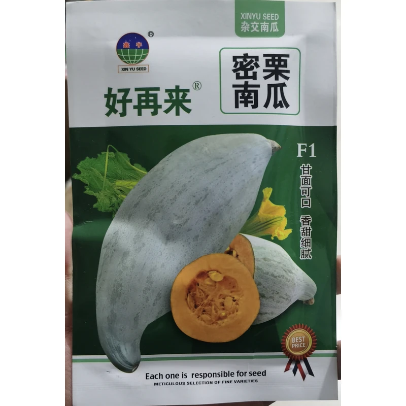 好再来密栗南瓜种子