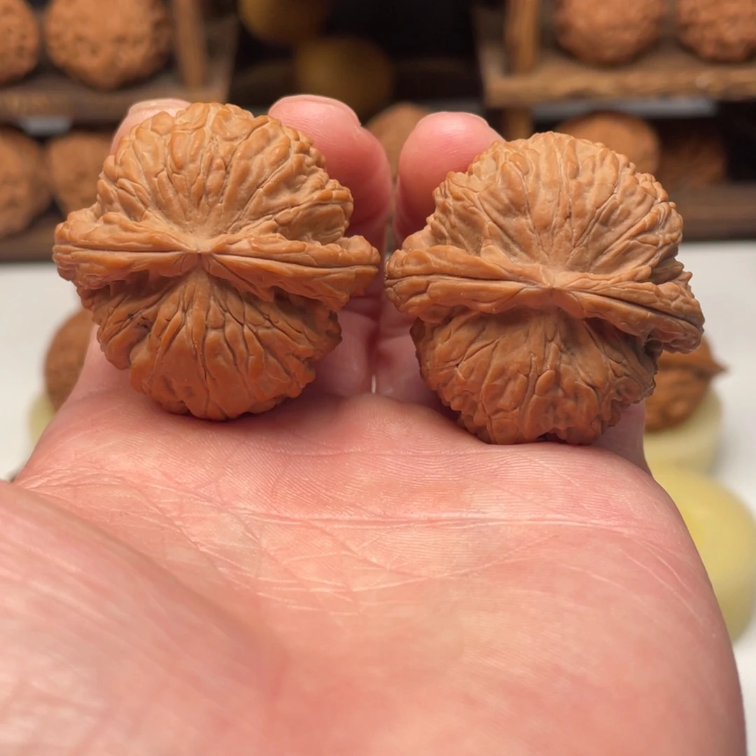 文玩核桃把件白狮子 球白