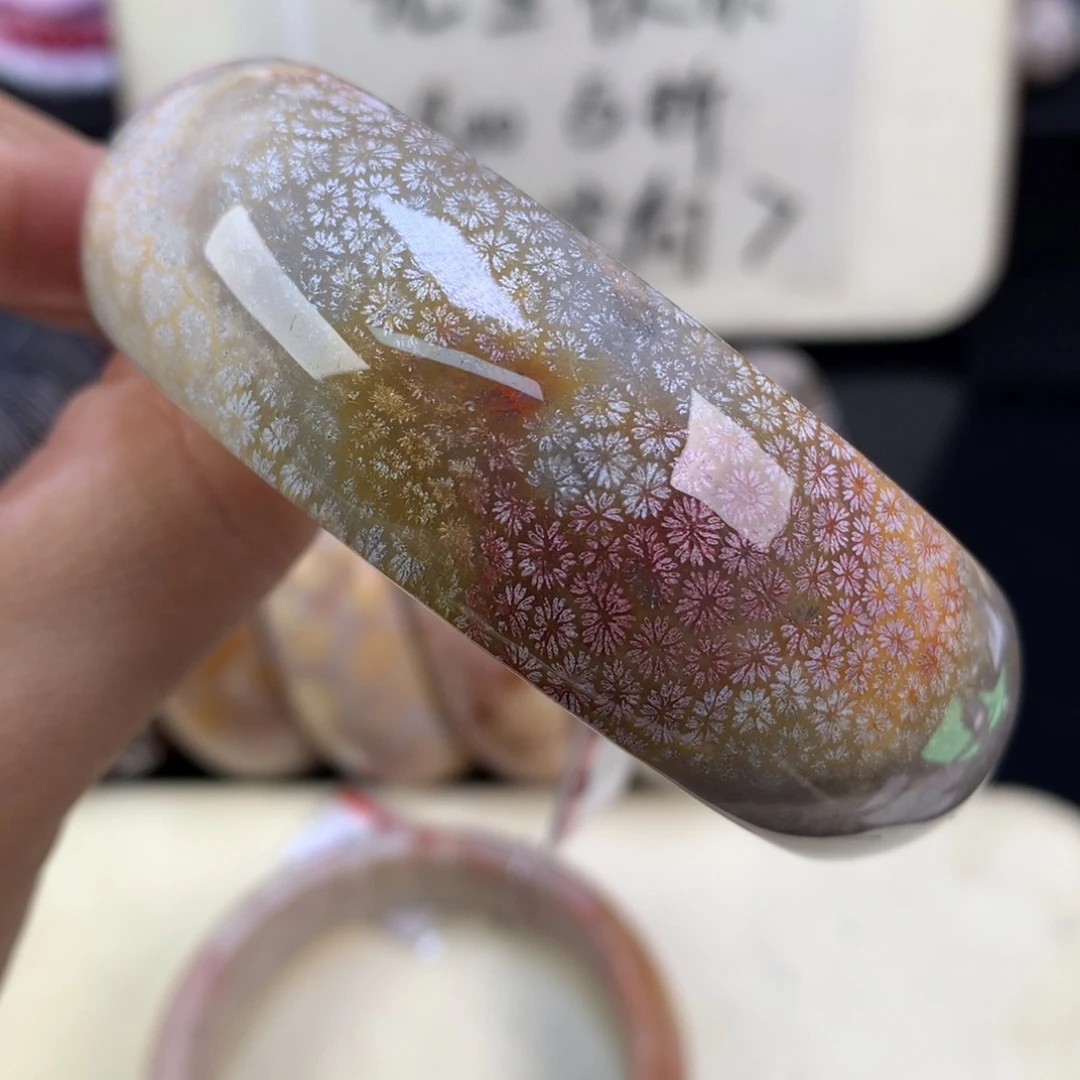 硅化珊瑚（珊瑚玉）未镶嵌颈饰元旦五折彩枫叶58.5圈（18号）