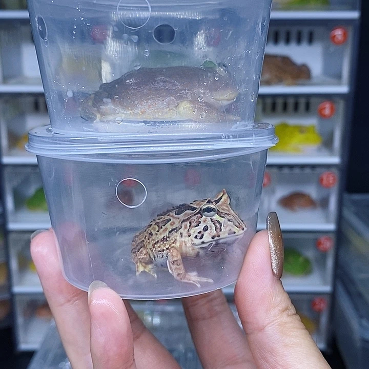 特价秒杀现货供应