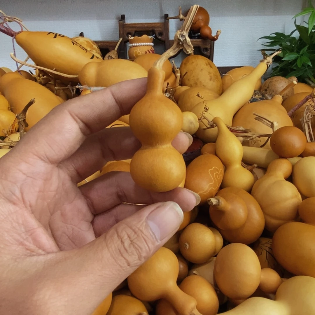 安***明直播间链接，文玩葫芦