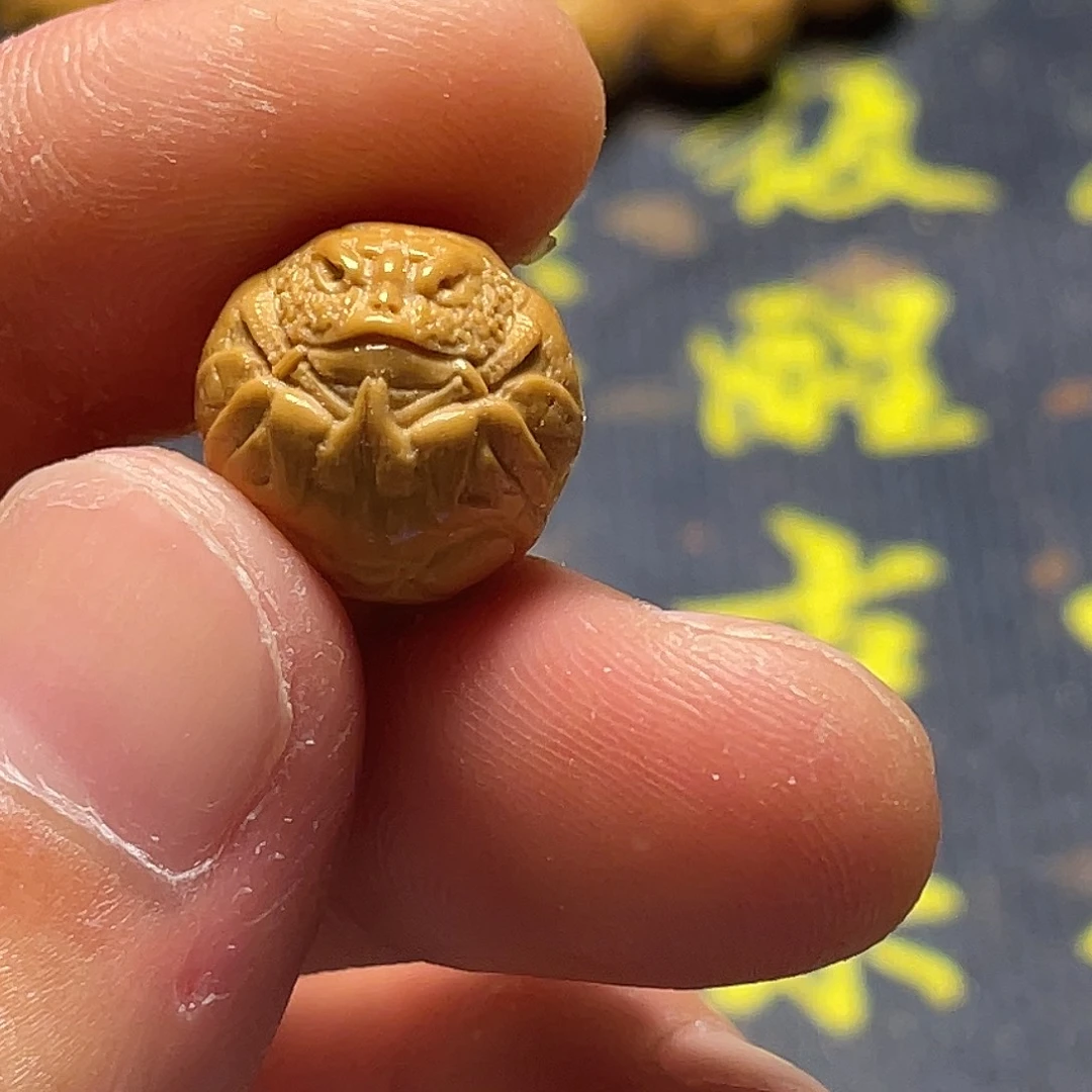 云蝉猴头，武道金蟾单籽