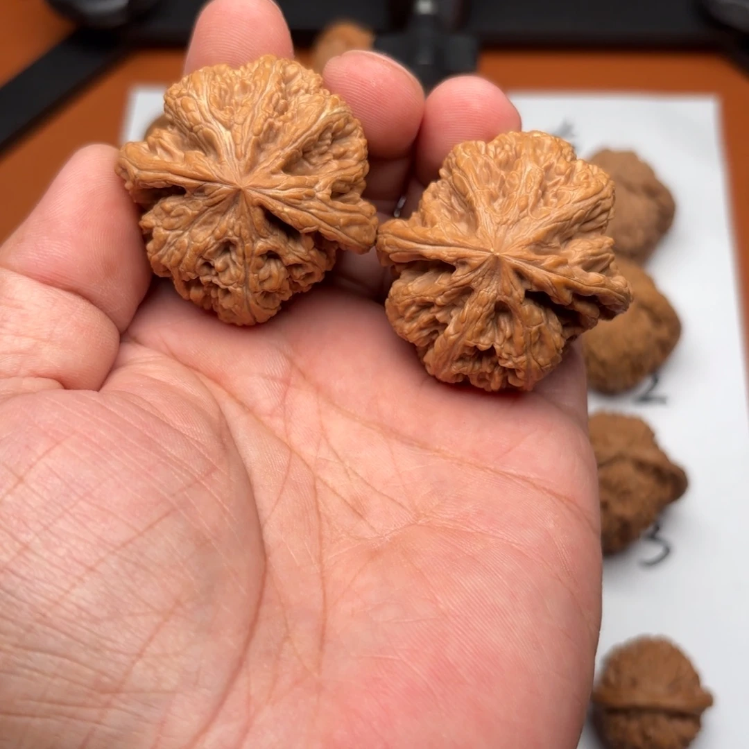 把件文玩核桃大粗筋