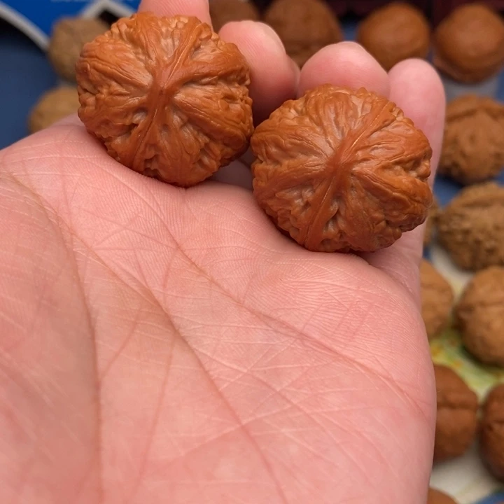 文玩核桃把件肉龙