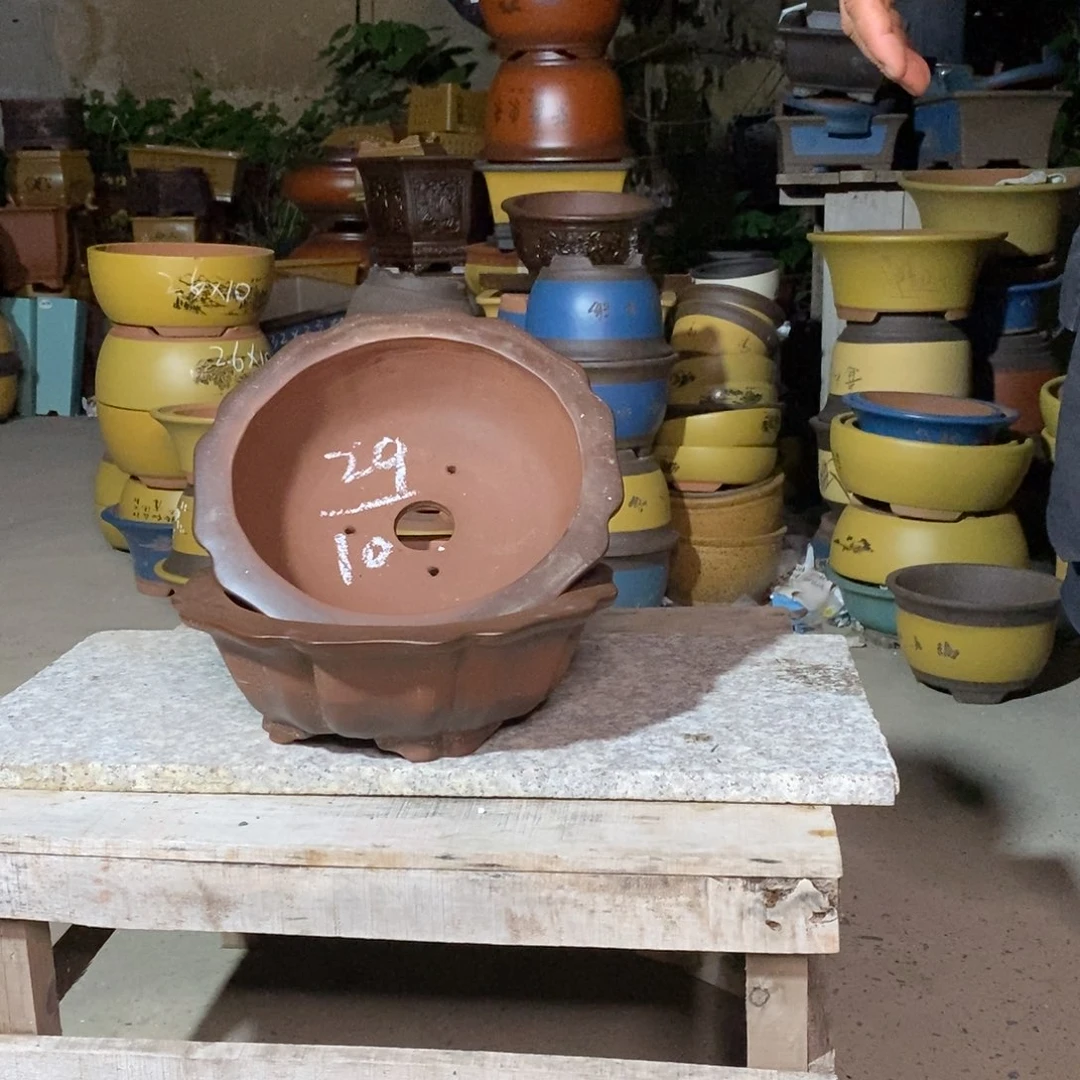 紫砂紫砂紫砂紫砂