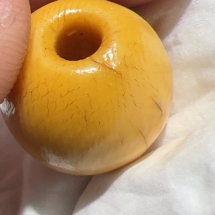 香榧木在这里的确