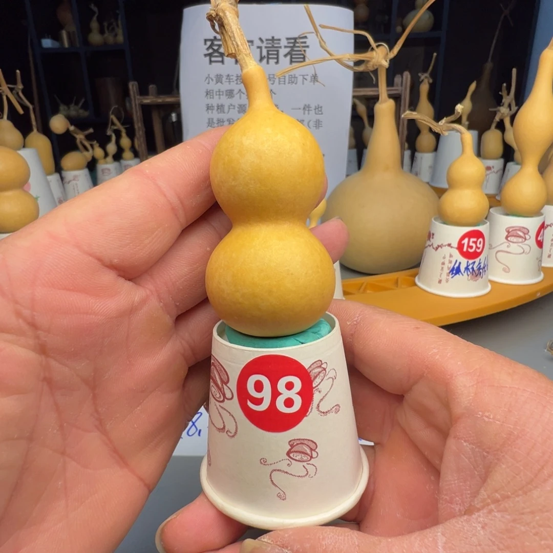 闪电购自助下单编号98